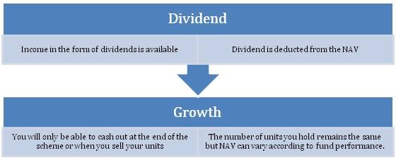 dividendorgrowth
